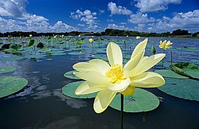 心理恐怖RPG《OMORI》主机版预告公开 6月17日发售