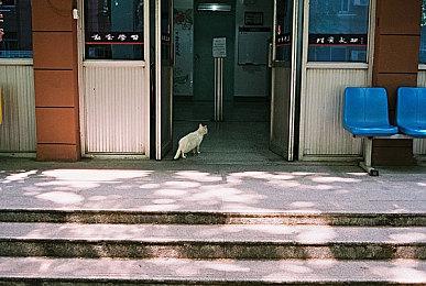 前《龙腾世纪》首席编剧称被Bioware其他团队悄悄怨恨